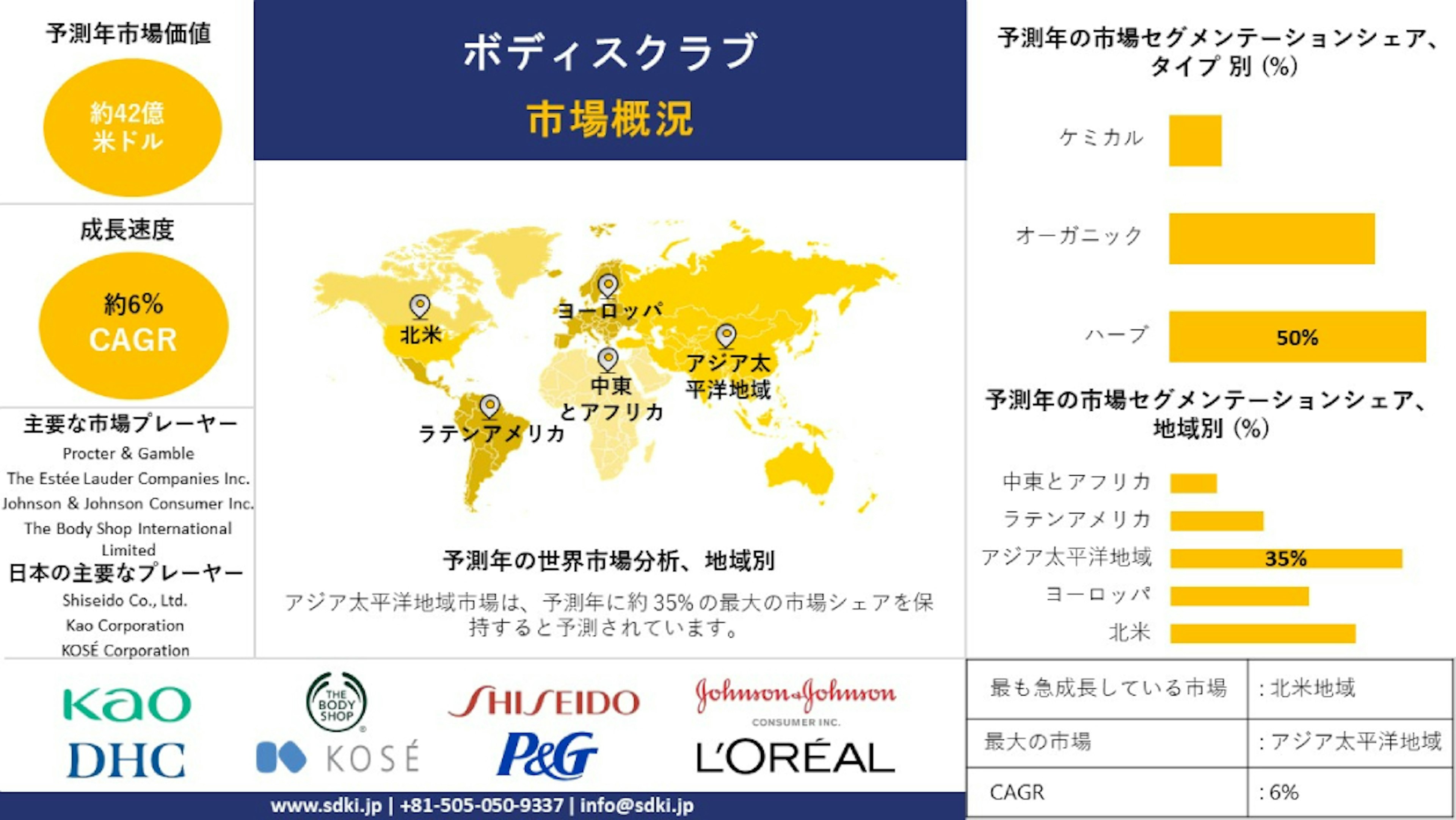 ボディスクラブ産業調査、サイズ、成長、トレンドレポート、シェア、トップメーカー、洞察分析、2024-2036年予測