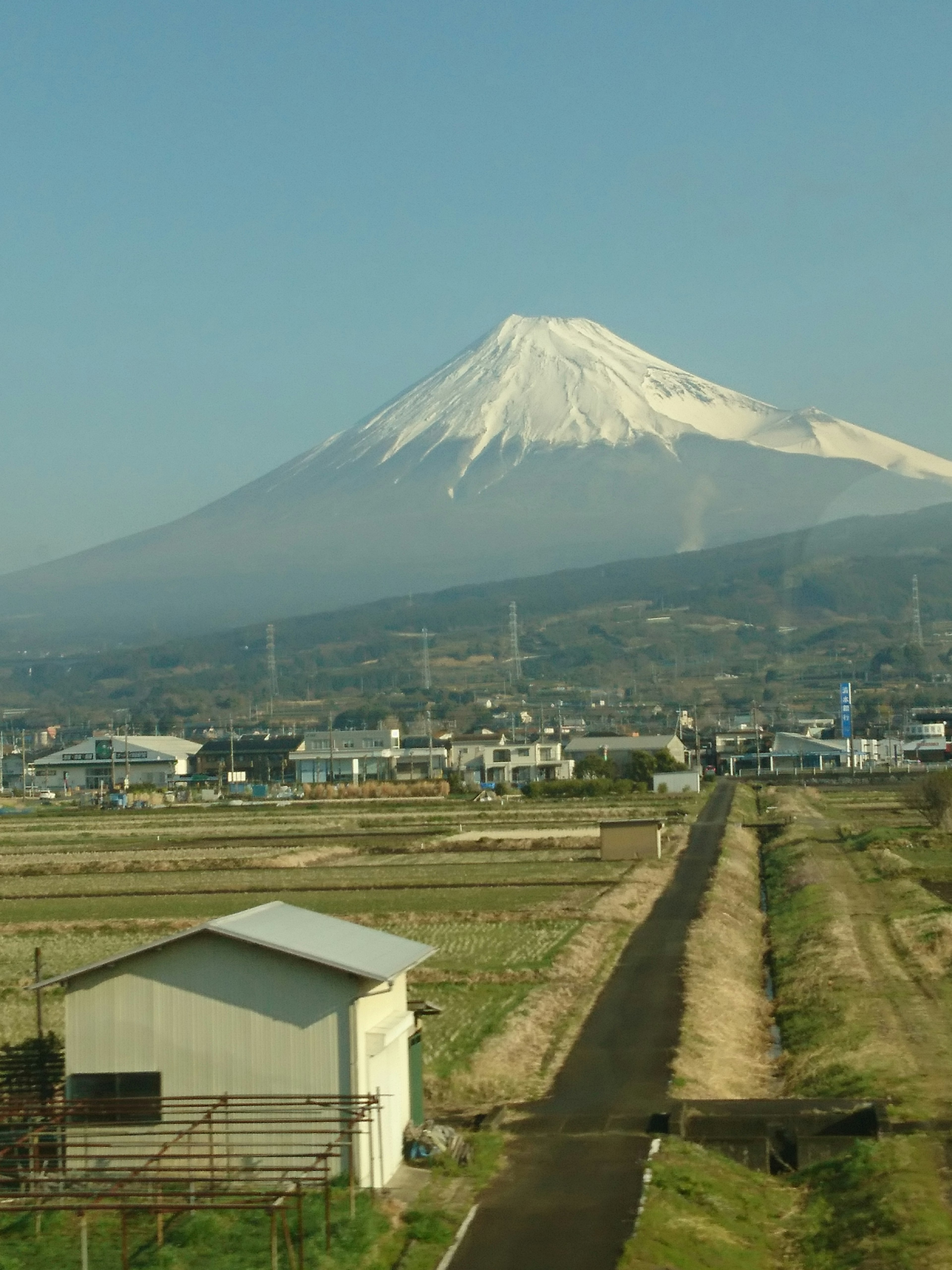 年賀状のやめ時