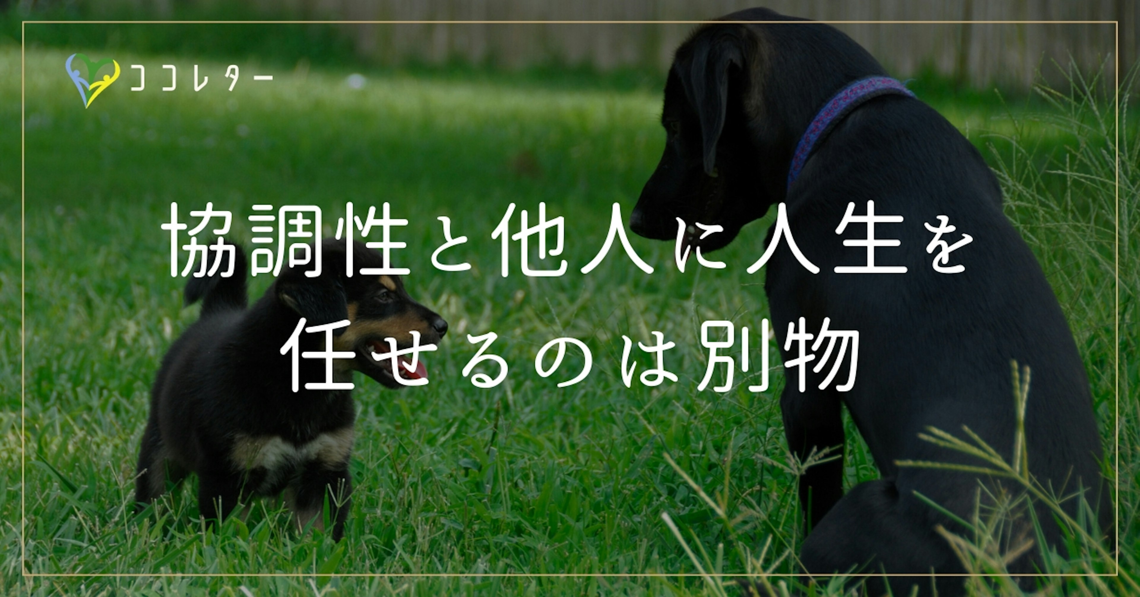 協調性を意識しすぎて、他人に人生を委ねなくていい／人とのバランス感覚とは？