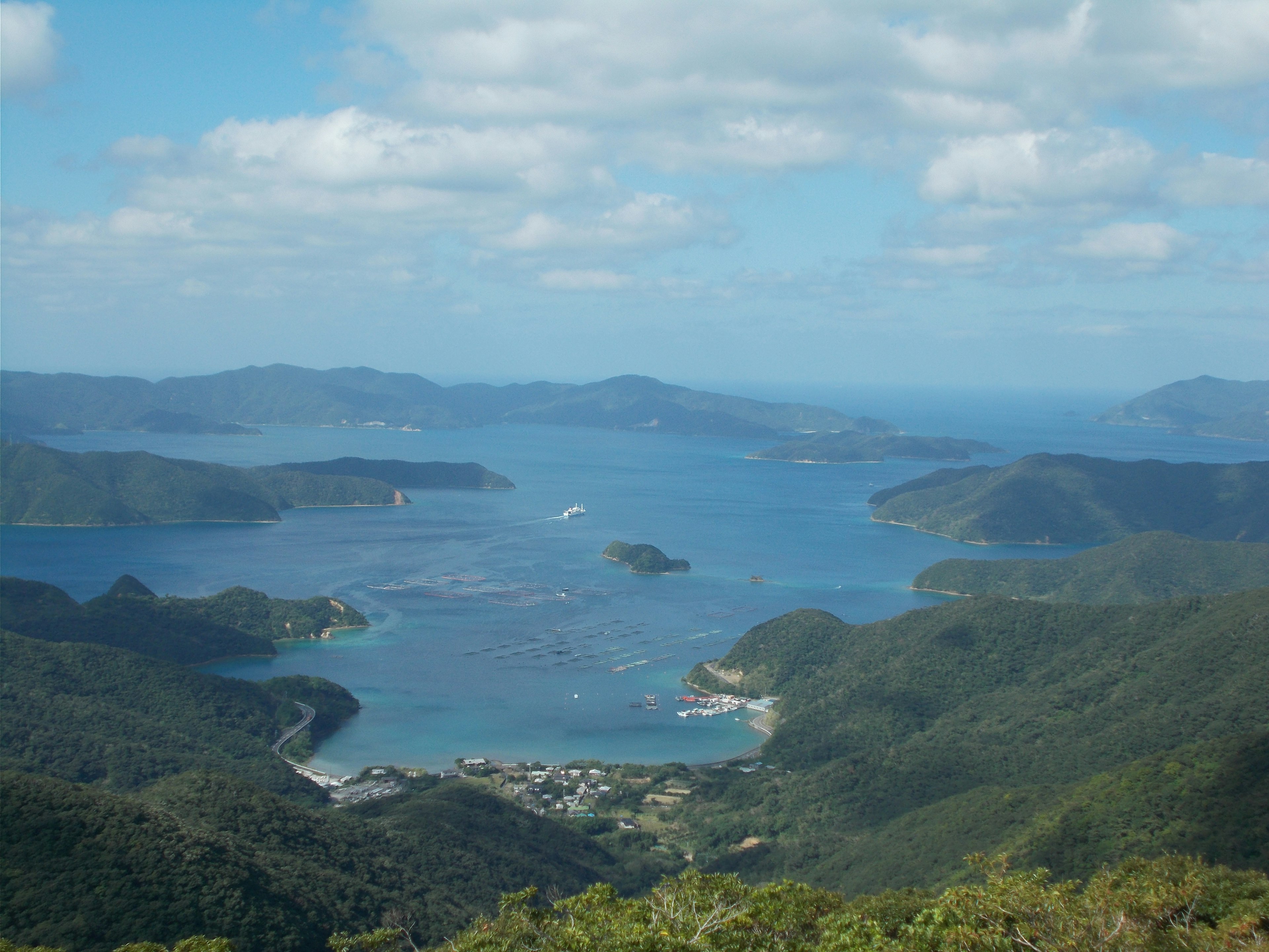 「田中一村」って知ってるかい？